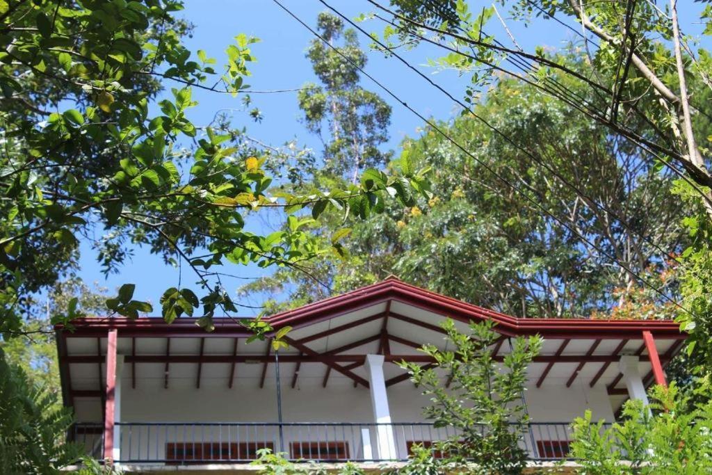 Amado Homestay Ella Exteriér fotografie