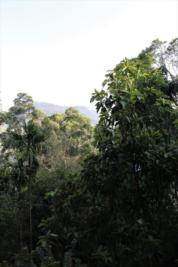 Amado Homestay Ella Exteriér fotografie