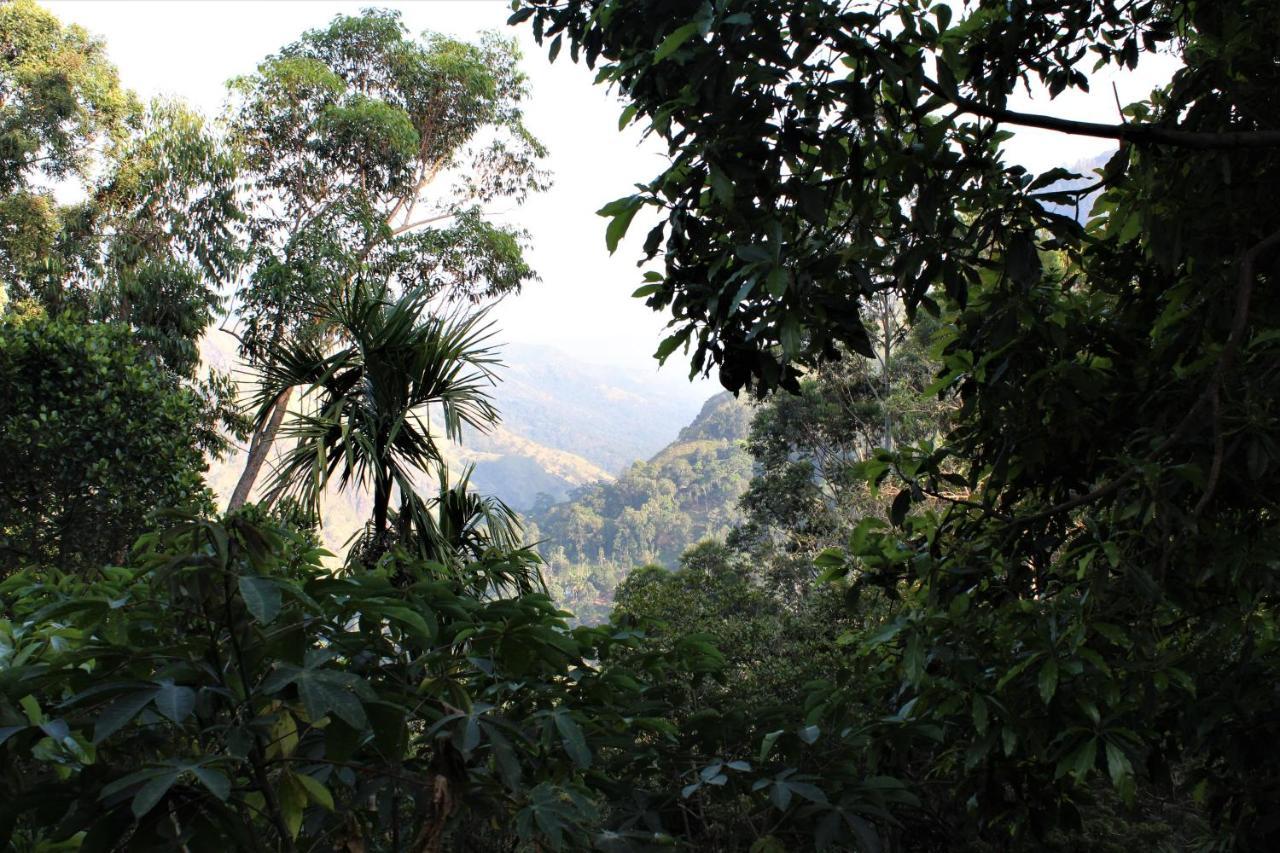 Amado Homestay Ella Exteriér fotografie